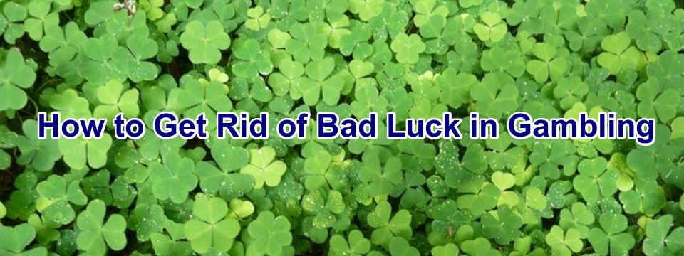How to Improve Your Gambling Luck (Four Leaf Clovers)